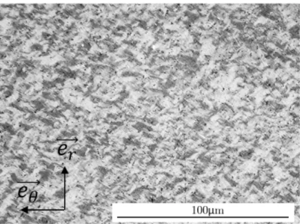 Figure 11: Optical micrograph of the as-received material (polarized light, ra- ra-dial cut).