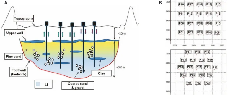 Figure  1a  shows  a  west–east  vertical  cross-section.  The  project is at the feasibility stage where a risk analysis must  be conducted to decide if the production should start and the  first stage concerns the extractable grades, the porosity and  pe