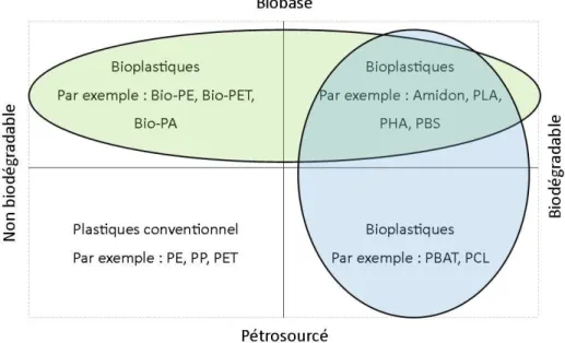 Figure 4. Classification des polymères selon leur origine et leur fin de vie (ValBiom, 2019)