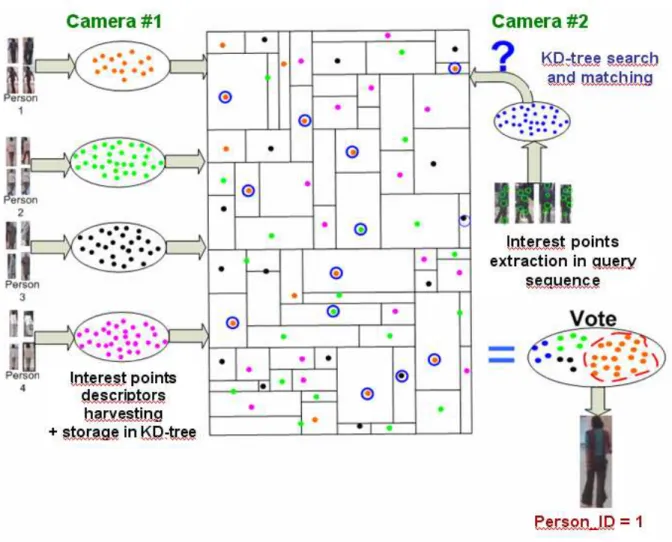Figure 1: schematic view of model building (left), and of re-identification of a query (right)