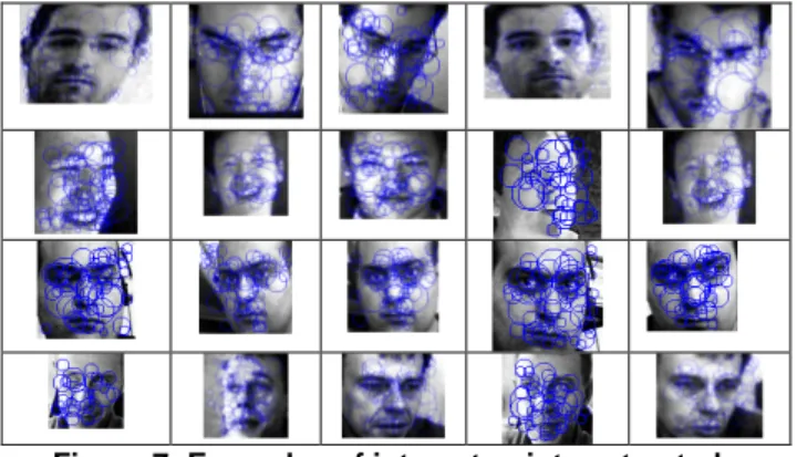 Figure 8:  Examples of successful on-the-fly face  identification with our interest point harvesting 