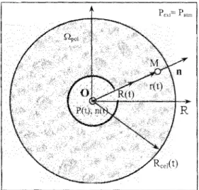 Fig.  8.  Modèle  de  cellule  élémentaire  d'une  mousse. 