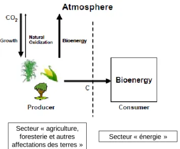 Figure 2-5 : Représentation schématique de la méthode de comptabilisation du carbone biogénique selon les lignes directrices du  GIEC pour les inventaires nationaux de GES (adapté de Bird et al