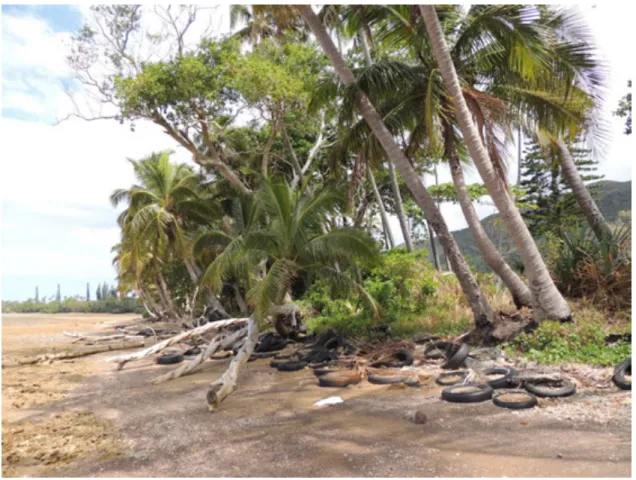 Figure 7 : L’érosion du littoral à Touaourou, Yaté (photo : C Sabinot) 