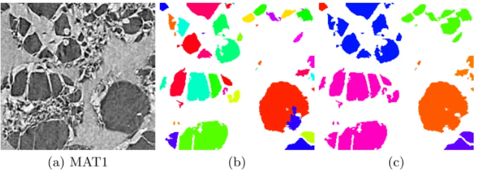Fig. 6. (a) shows two fragments that heavely drift from one another on the bottom left.