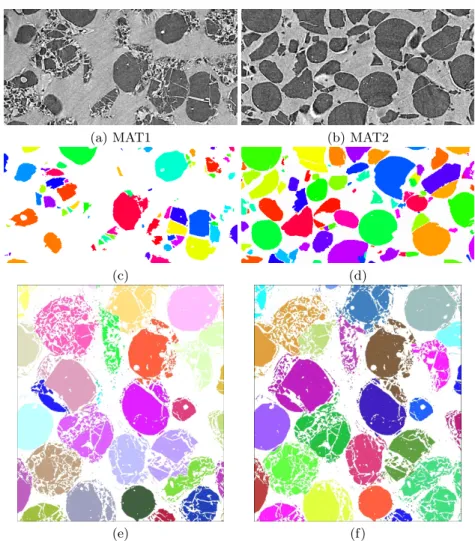Fig. 2. (a,c) are 2D slices of 3D X-ray microtomographic images of fragmented gran- gran-ular material