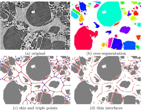 Fig. 3. The process to generate interfaces is illustrated. In (a) a granular material.