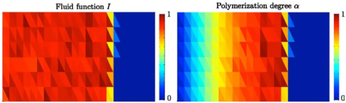 Fig. 3 Fluid fraction function and polymerization state of the resin at t = 8 s for a simulation without chemo-rheological coupling