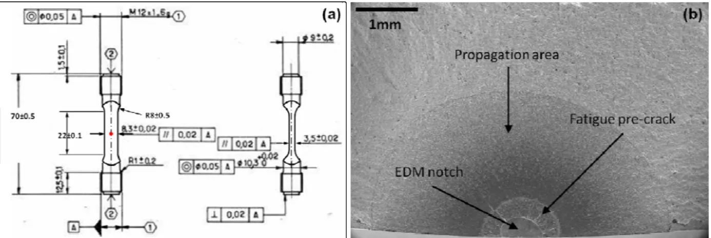 Figure 2. KBr specimens used for fatigue crack growth rate measurements. a) Schematic diagram showing  the dimensions (mm) and the position of the EDM notch (red dot); b) Fracture surface of a specimen where  the EDM notch (0.3mm), the fatigue pre-crack (0