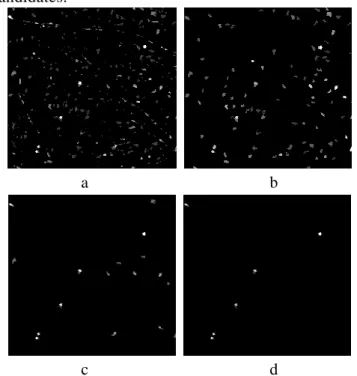 Figure  7  shows  the  same  profile  of  Figure  6  but  with 