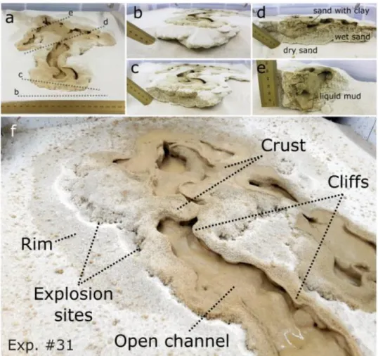 Figure 7: An example of the resulting morphology of a low viscosity mud flow and its inner structure  515 