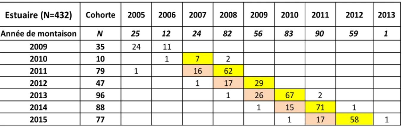Tableau 3 : distribution des cohortes (en nombre) en fonction des années de collecte entre 2009  et 2015