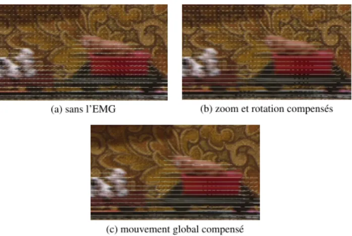 Figure 5 – Param`etres globaux de d´eformation pour un zoom synth´etique.