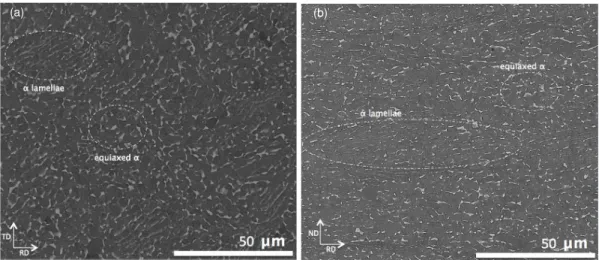 Figure 3. SEM images of the initial microstructure revealing co-existence of equiaxed α nodules and elongated α lamellae (a) RD-TD surface and (b) RD-ND surface.the dark phase is α and the lighter phase is β.