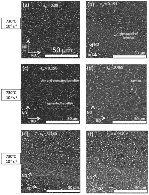 Figure 4. SEM-BSE images showing the evolution of the microstructure of the Ti6242 alloy during deformation at 730 ◦ C for several elongations and strain rates: 10 −2 s −1 (a,b); 10 −3 s −1 (c,d); 10 −4 s −1 (e,f).