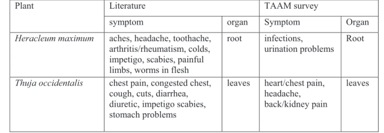 Table 2.10 Cree usage of Heracleum maximum and Thuja occidentalis in the literature and  in TAAM surveys (Holmes, 1884; Marles et al., 2000; Marshall and Chiskamish, 1996; 