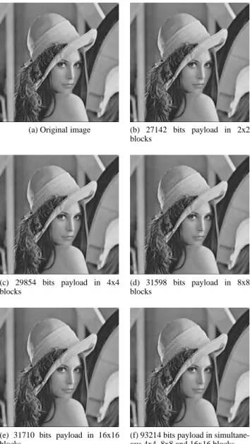 Figure 4: Reversibly embedded lena with the maximum pay- pay-load for each block size.
