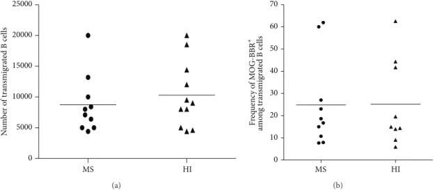 Figure 7: Transmigration of B cells across brain vessel derived endothelial cells. (a) B cells were negatively selected and a transmigration assay across HCMEC/D3 cell line was performed