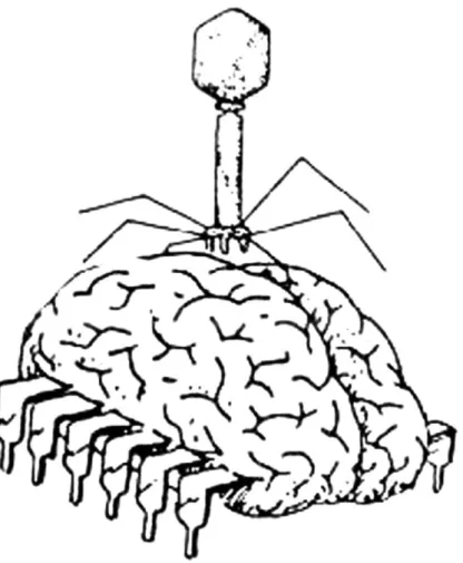 Figure 7. The virus ‘riding’ the organs of the body (Anon., 1986b)