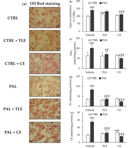 Figure 2. Effect of total lipophilic and carotenoid extracts from P. tricornutum on non-alcoholic fatty  liver disease (NAFLD)