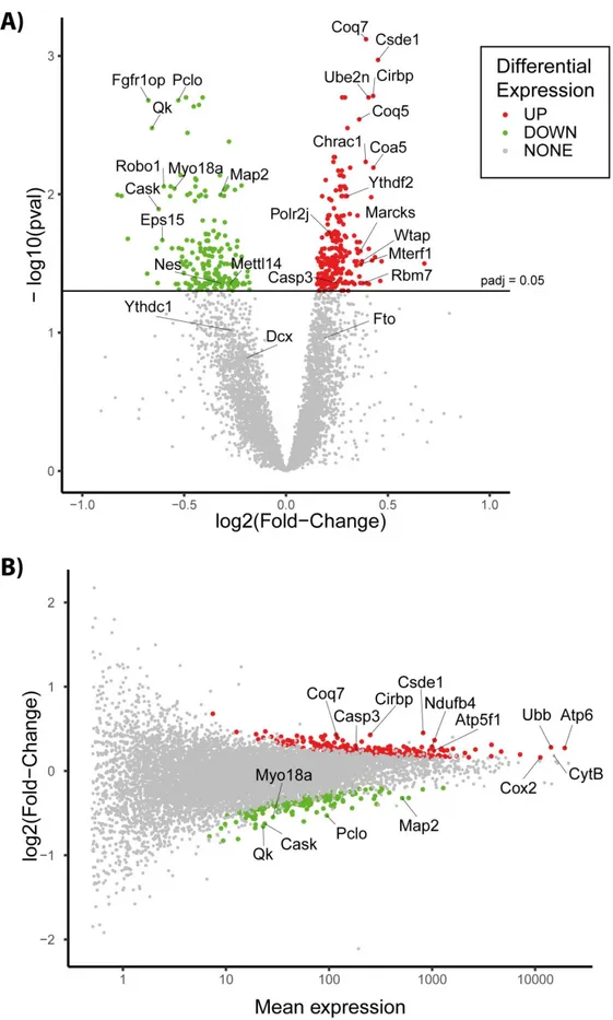 Figure 3. Volcano plot (A) and MA plot (B)  of differentially expressed genes at E17 in the  protein  restriction (PR) group compared to Control group (PR: n = eight males + eight females, C: n = eight  males + eight females)