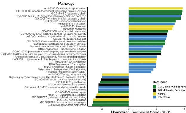 Figure 4. Selection of the gene families and metabolic pathways significantly enriched in differentially  expressed  genes  (Fast  Gene  Set  Enrichment  Analysis  (FGSEA),  padj  &lt;  0.05)