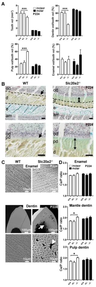 Fig. 6. Continued.