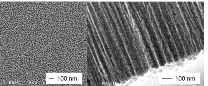 FIG. 1: Scanning electron micrographs of the porous silicon film. (a) top view at low  magnification showing the 30 μm thick porous layer attached to the silicon substrate and (b)  side view at higher magnification