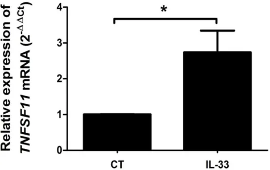 Fig 6. IL-33 induced RANK-L expression in mouse gingival explants. Explants from palatal mucosa of C57BL/6 mice were culture overnight at 37˚C