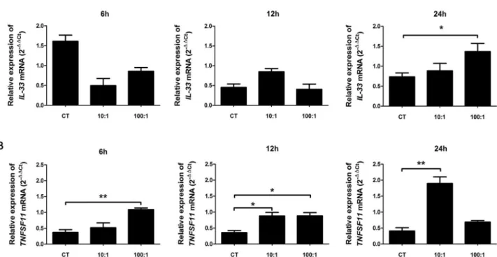 Fig 7. Pg infection increased the expression of RANK-L and IL-33 mRNAs in human oral epithelial cells