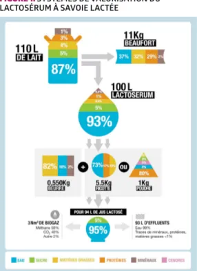 FIGURE 1. SYSTÈMES DE VALORISATION DU  LACTOSÉRUM À SAVOIE LACTÉE