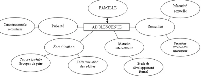 Figure 4 :  Les composantes de l’adolescence