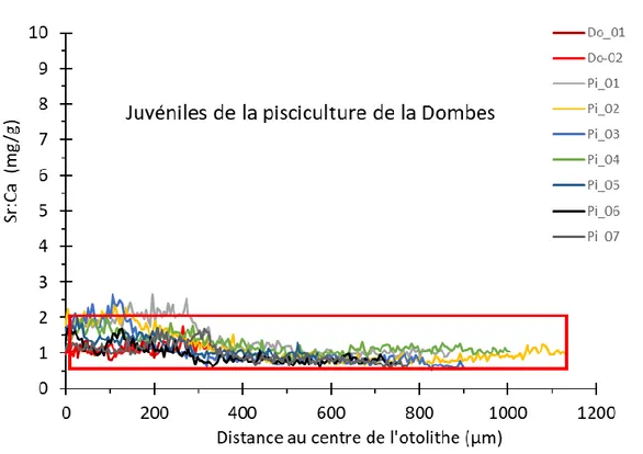 Figure 9 : Profils du rapport Sr/Ca mesuré sur les 9 otolithes de juvéniles de brochets de la pisciculture  des Dombes