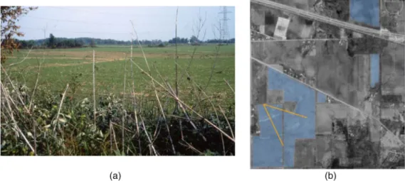 Fig. 3). The vegetative canopy reported for this field in the observation notes is soybeans, drilled in 8-in