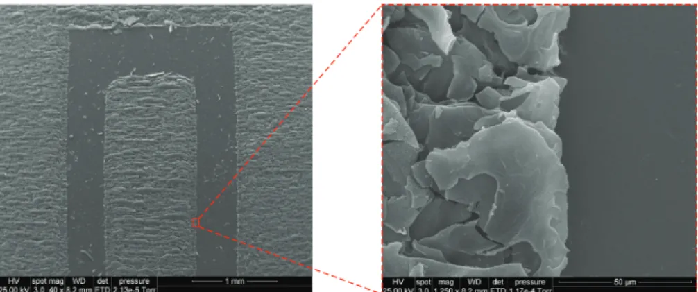 Figure 2. Morphology of the fabricated graphene sensor taken under SEM.