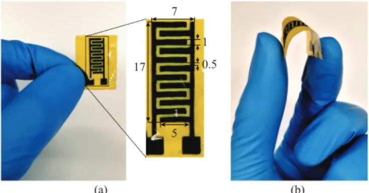 Figure 4. (a) Fabricated sensor with detailed design (all dimensions are in millimeters)