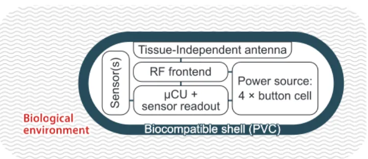 Fig. 1. Outline of the wireless pill-shaped device for biotelemetry. Tissue- Tissue-independent antenna design ensures the detuning immunity.