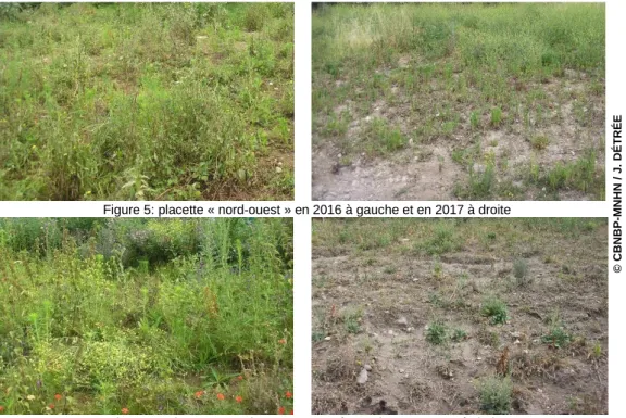Figure 5: placette « nord-ouest » en 2016 à gauche et en 2017 à droite