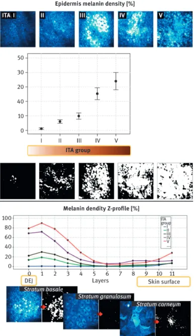 Fig. 19.6: Change with skin color in (top) mean global melanin density of the epidermis and (bottom) in the normalized melanin density z-proﬁle (12 normalized layers from 0 – DEJ level to 11 – SC level).