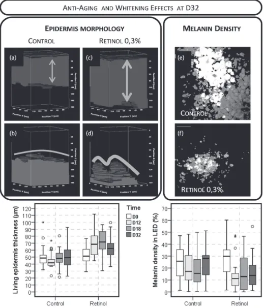 Fig. 19.7: Quantiﬁcation results of Retinol effects obtained with multiphoton microscopy