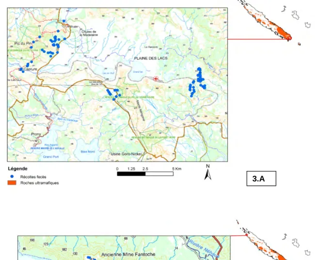 Figure 3 : Carte de localisation des fèces de chats harets récoltées sur les sites du plateau  de Goro/Plaine des lacs (A) et du massif de Tiébaghi (B)