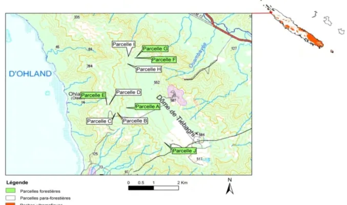 Figure 12 : Localisation des parcelles d’étude sur le site minier de Tiébaghi 