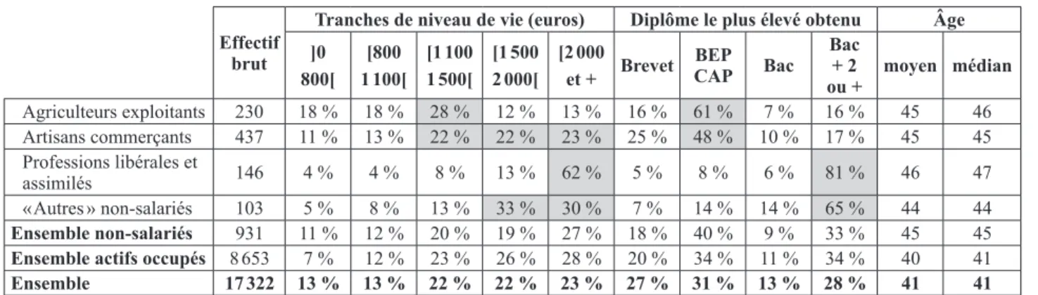 Tableau 1 : Caractéristiques des différentes composantes des non-salariés