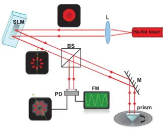 FIG. 2. Reﬂection of the interference pattern of two OAM beams with opposite charges ‘ and ‘, for ‘ ¼ 1 (a, leading to a 0 after reﬂection), 2 (b, leading to b 0 ), and 4 (c, leading to c 0 ), on a static right angle prism