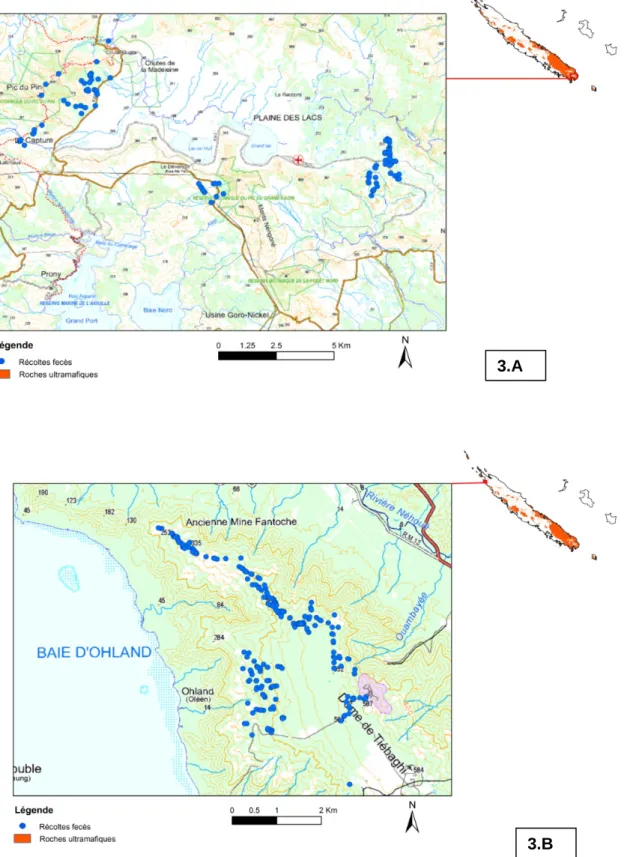 Figure 3 : Carte de localisation des fèces de chats harets récoltées sur les sites du plateau  de Goro/Plaine des lacs (A) et du massif de Tiébaghi (B)