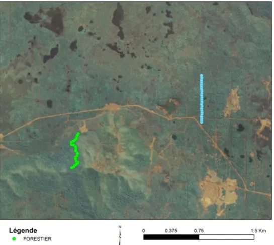 Figure  6   :  Emplacement des transects au sein des formations forestière et  para-forestière retenues en Province Sud 