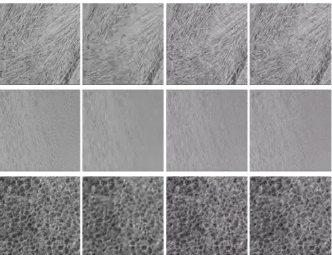 Fig. 9: Examples of decoded textures using the same QP. From left to right: Original texture, compressed using HEVC with default metrics, with STSIM and with LRI.