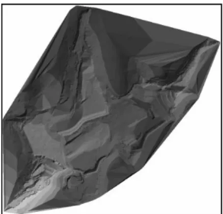 Figure 20.4. TIN layer of terrain elevation obtained from   the AutoCAD® file created by the land surveyor 