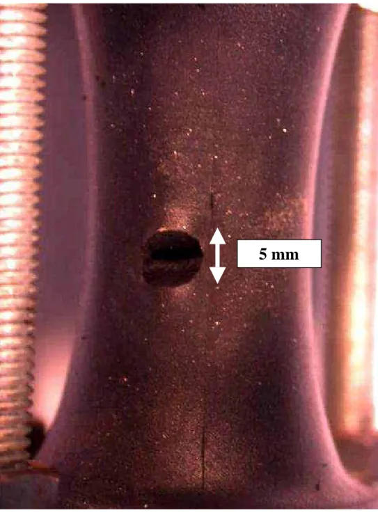 Figure 4 : ouverture de la fissure (élongation de 1,33) 