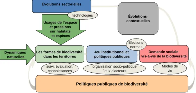 Figure 1 : Cadre conceptuel de BioPIQuE 2013, adapté de Biodiversité et Territoires 2030 (CGDD)